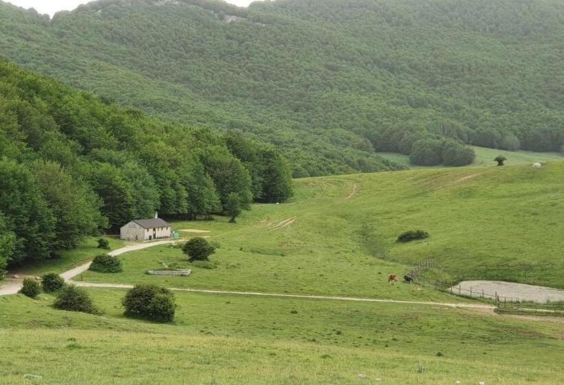 צימר Casa Ciuffina