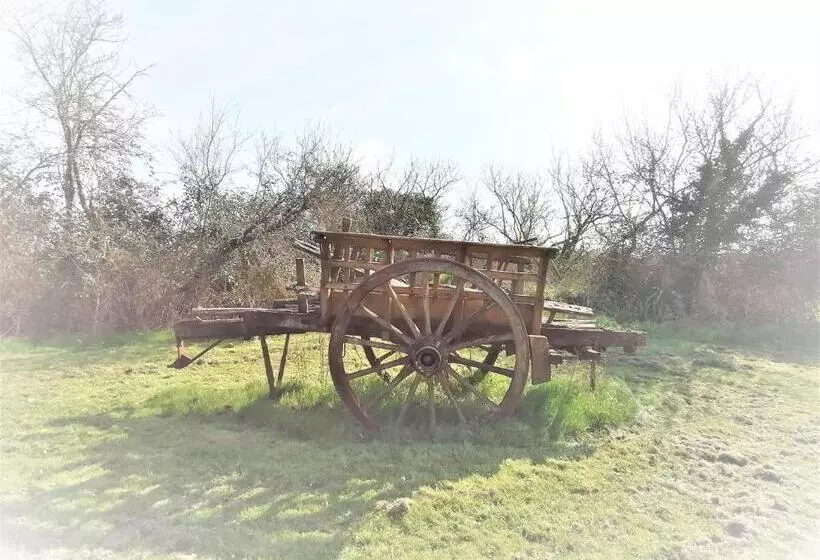 تختخواب و صبحانه Domaine De Gaïa, Piscine, Pétanque, Ping Pong, Proche Saint Emilion