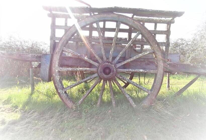 Bed and Breakfast Domaine De Gaïa, Piscine, Pétanque, Ping Pong, Proche Saint Emilion
