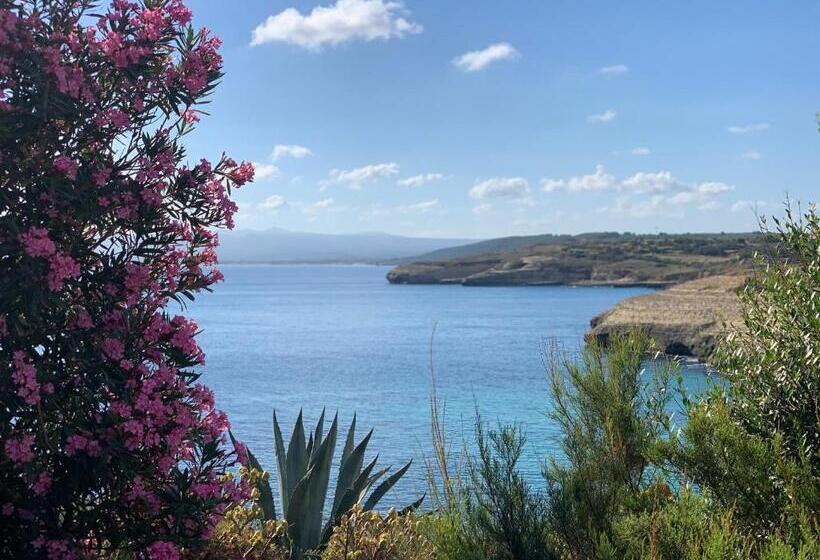 B&b I Colori Dell Isola