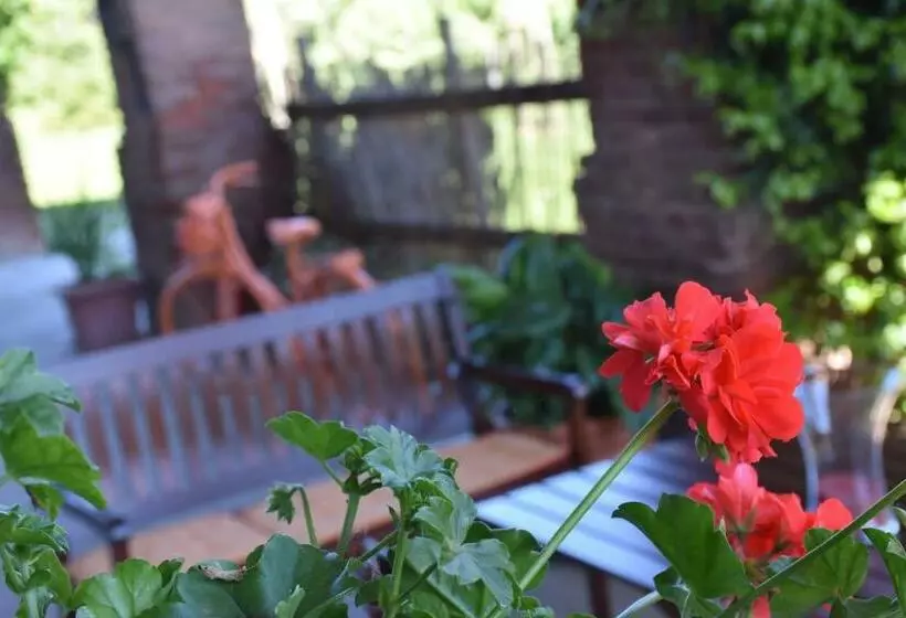 Aamiaismajoitus (B&B) La Casa Di Enzo