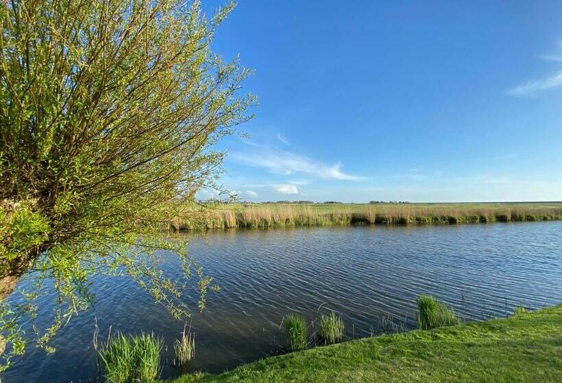 צימר Stay Inn Harlingen