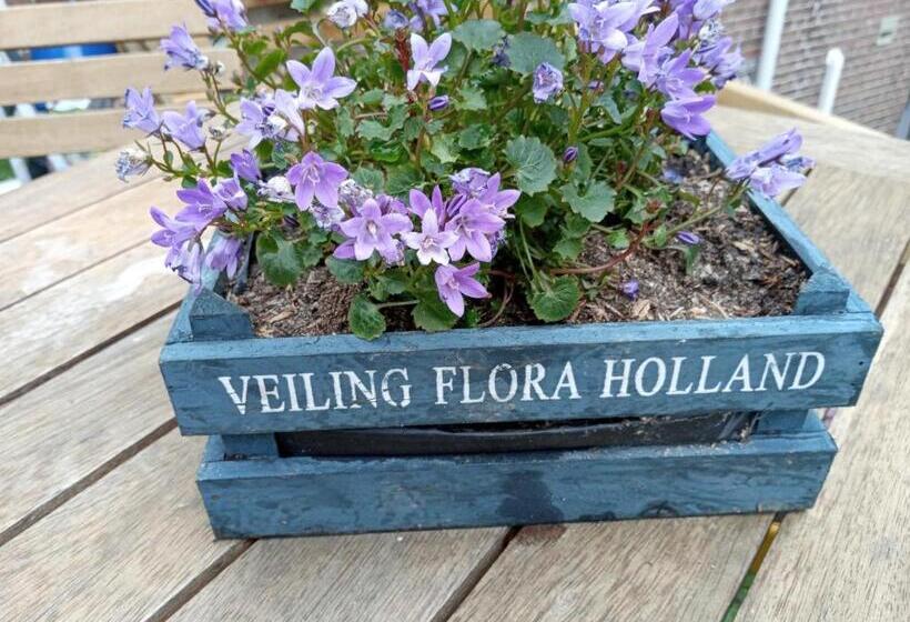 Bed & Breakfast Moments