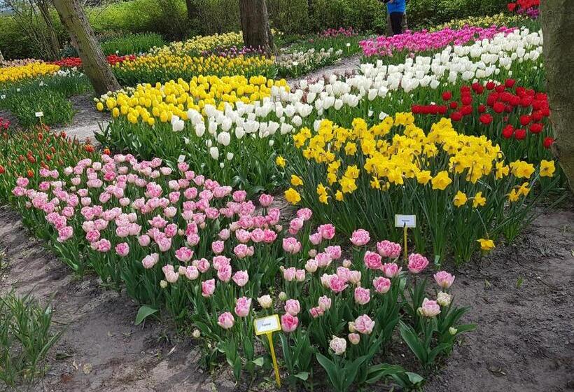 Bed & Breakfast Moments