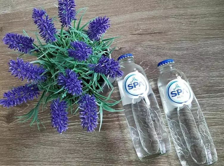 Bed & Breakfast Moments