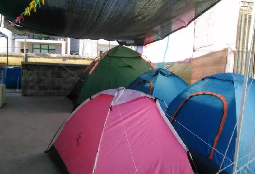 ペンション Mini Hostal Cultural De Mazatlán
