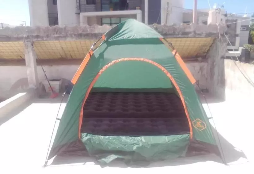 ペンション Mini Hostal Cultural De Mazatlán
