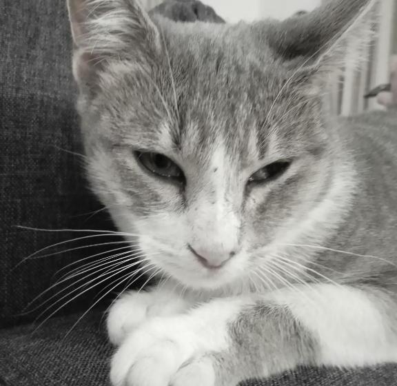 Bed and Breakfast Casa Antonio