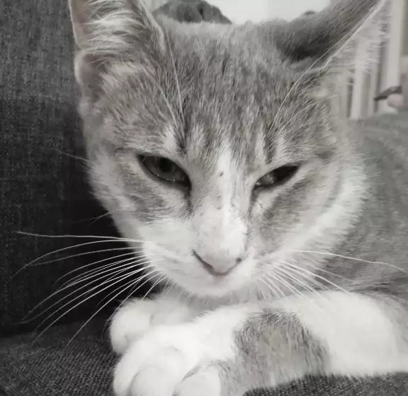 Bed and Breakfast Casa Antonio