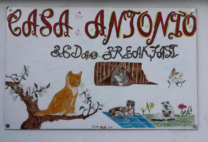 Bed and Breakfast Casa Antonio