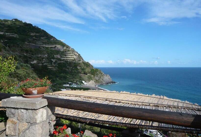 Bed and Breakfast Casa Antonio