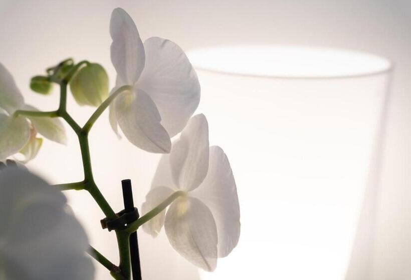 تختخواب و صبحانه Suite Inn Catania