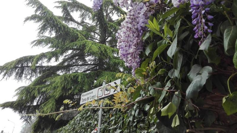 בית מלון כפרי Tana De Lepri