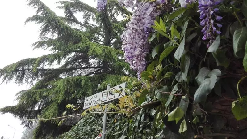 田舎風ホテル Tana De Lepri