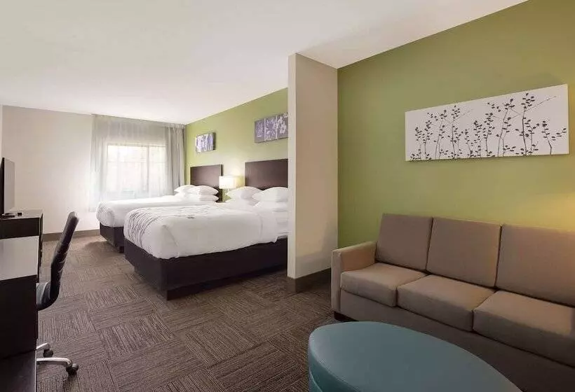 酒店 Sleep Inn & Suites North Mobile Saraland