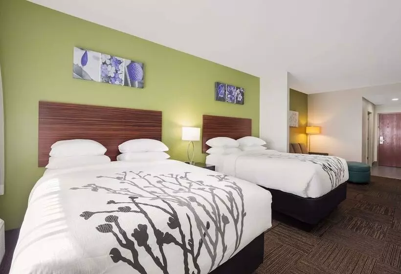 酒店 Sleep Inn & Suites North Mobile Saraland