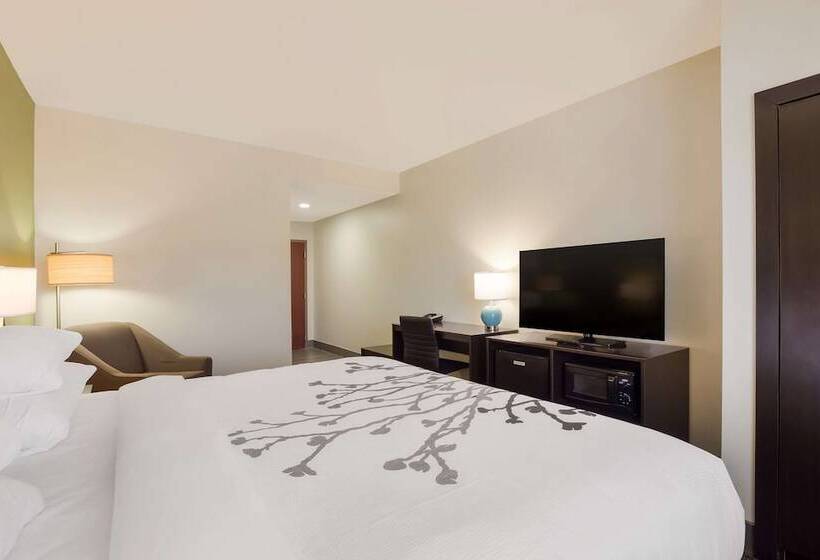 Отель Sleep Inn & Suites North Mobile Saraland