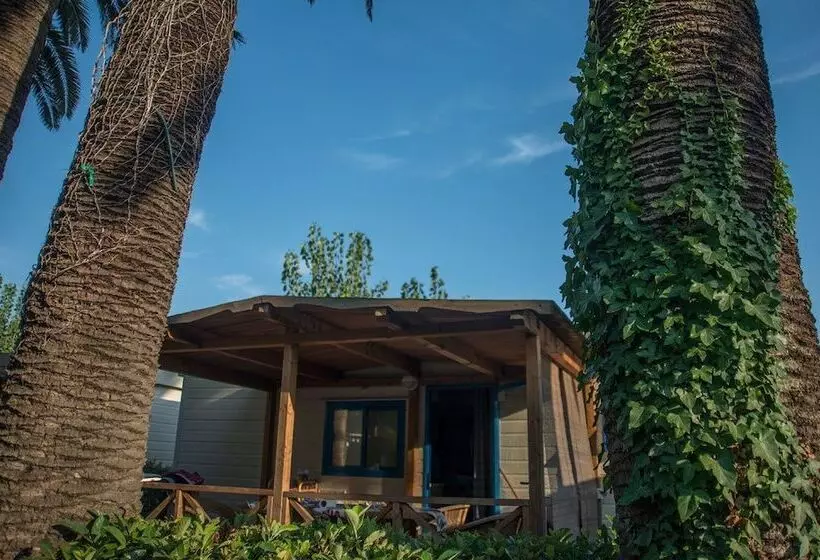 استراحتگاه Le Palme Village