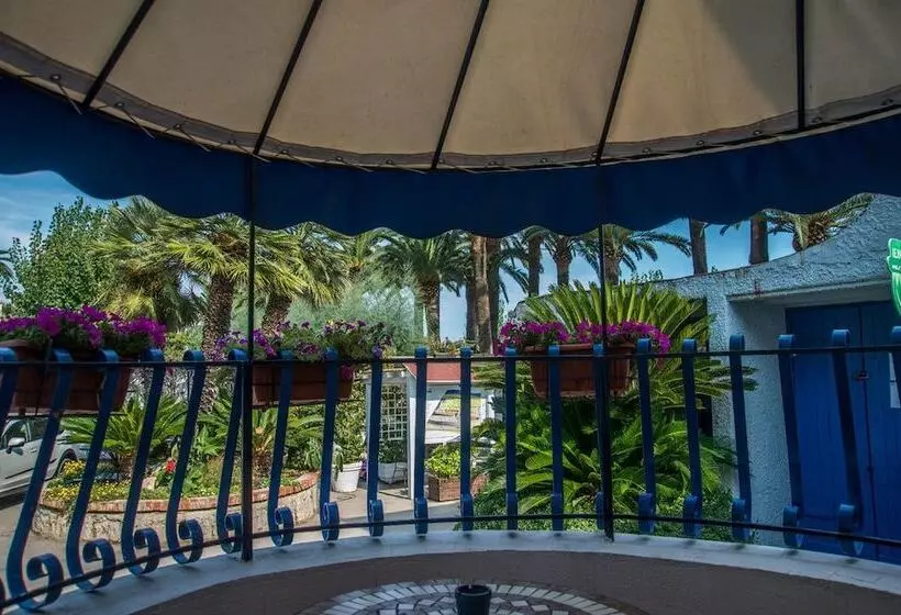 استراحتگاه Le Palme Village