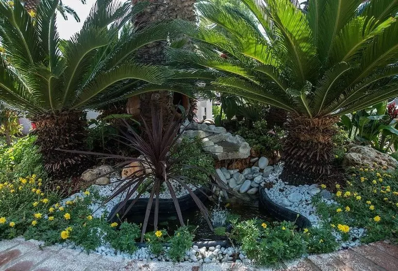 استراحتگاه Le Palme Village