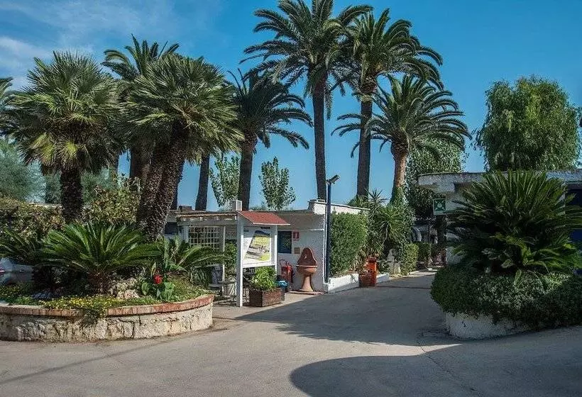 استراحتگاه Le Palme Village