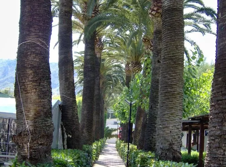 استراحتگاه Le Palme Village