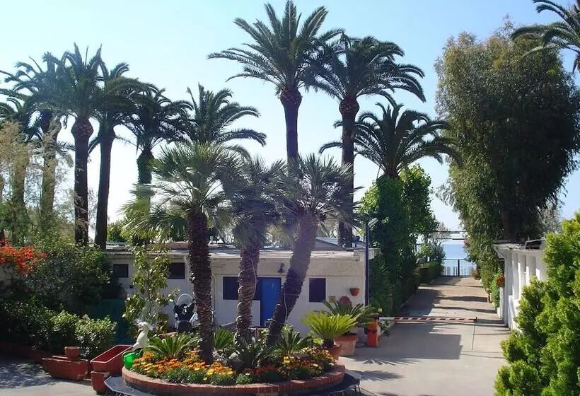 استراحتگاه Le Palme Village