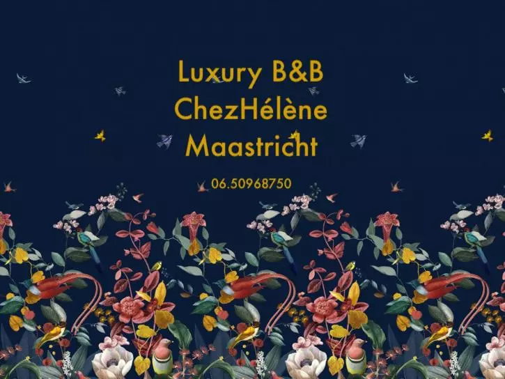 Aamiaismajoitus (B&B) Chez Hélène Luxury Bnb