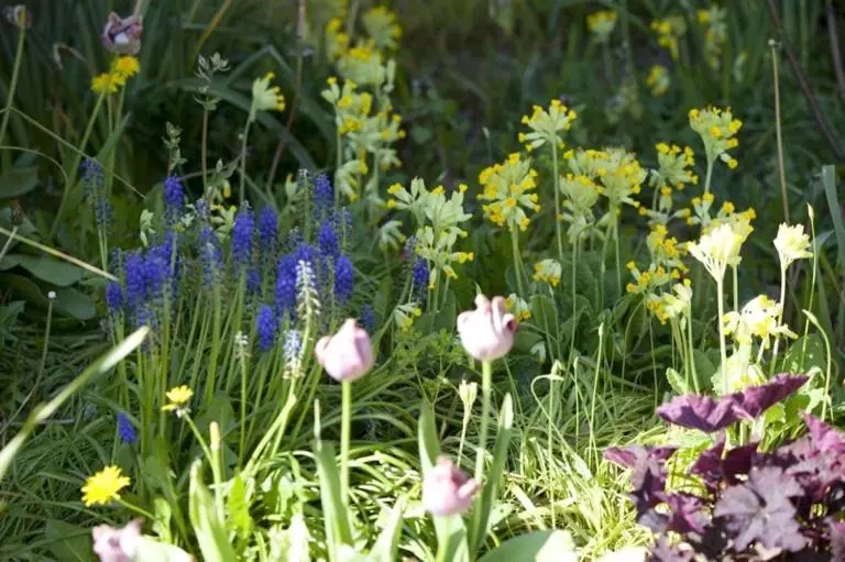 Aamiaismajoitus (B&B) Les Lauriers