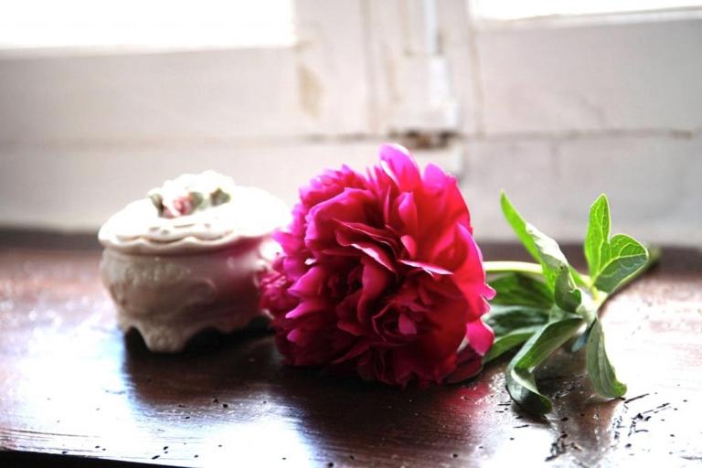 مبيت وإفطار Les Lauriers