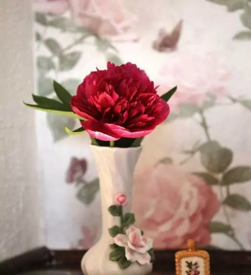 Aamiaismajoitus (B&B) Les Lauriers