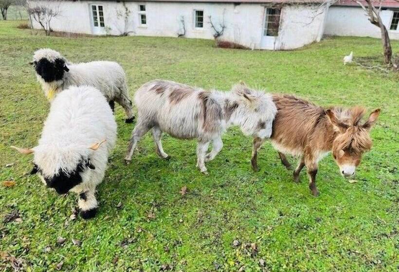 بنسيون Le Clos Des Châteaux