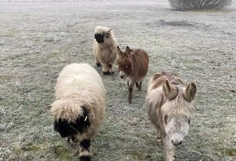 Majatalo Le Clos Des Châteaux