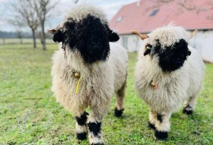 بنسيون Le Clos Des Châteaux