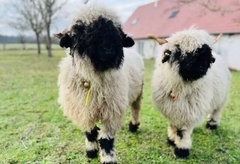 Majatalo Le Clos Des Châteaux