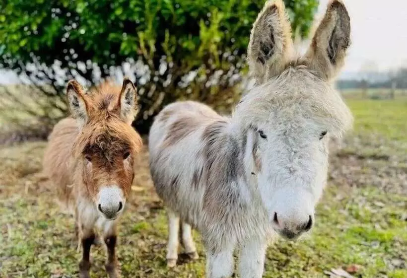 Majatalo Le Clos Des Châteaux