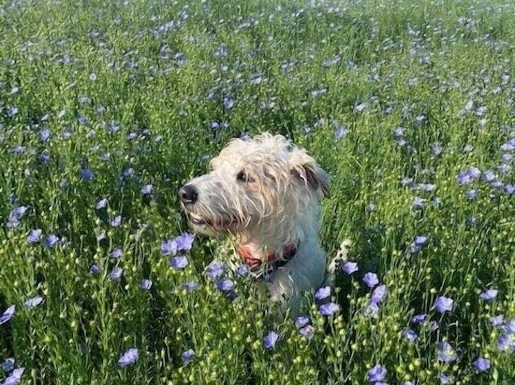 بنسيون Le Clos Des Châteaux