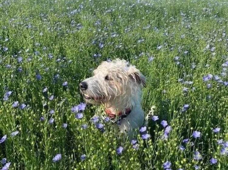 Majatalo Le Clos Des Châteaux