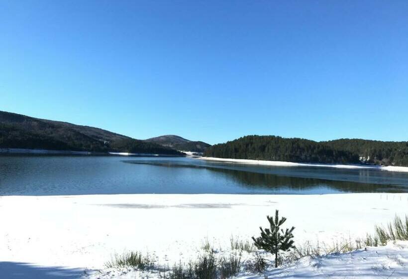 Arvo Residence Sila Lorica