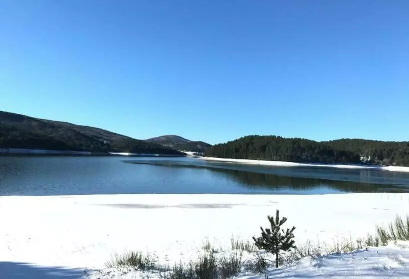 Arvo Residence Sila Lorica