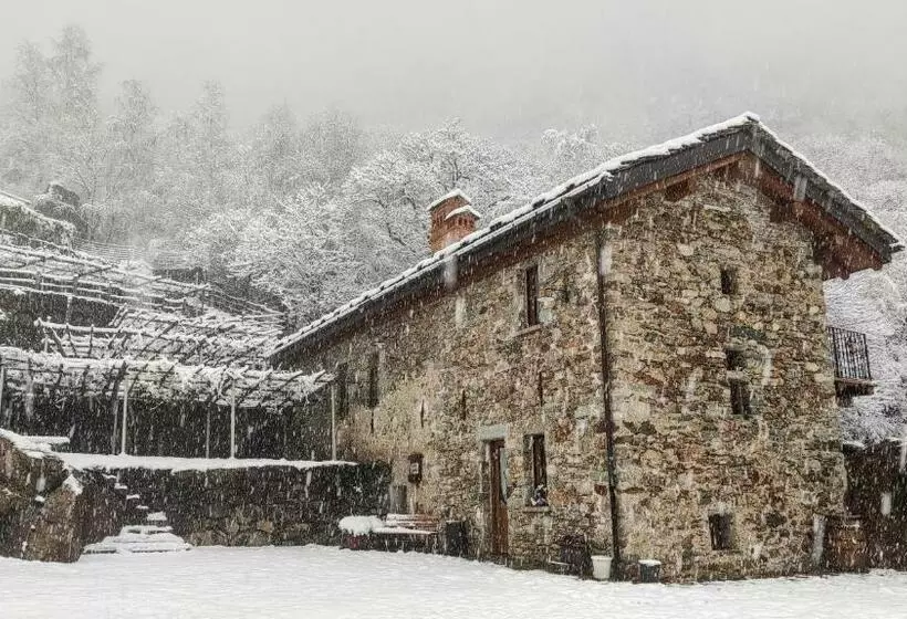 B&b Al Vecchio Torchio