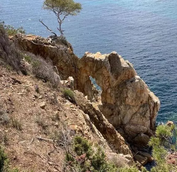 ベッドアンドブレックファースト Atelierchic