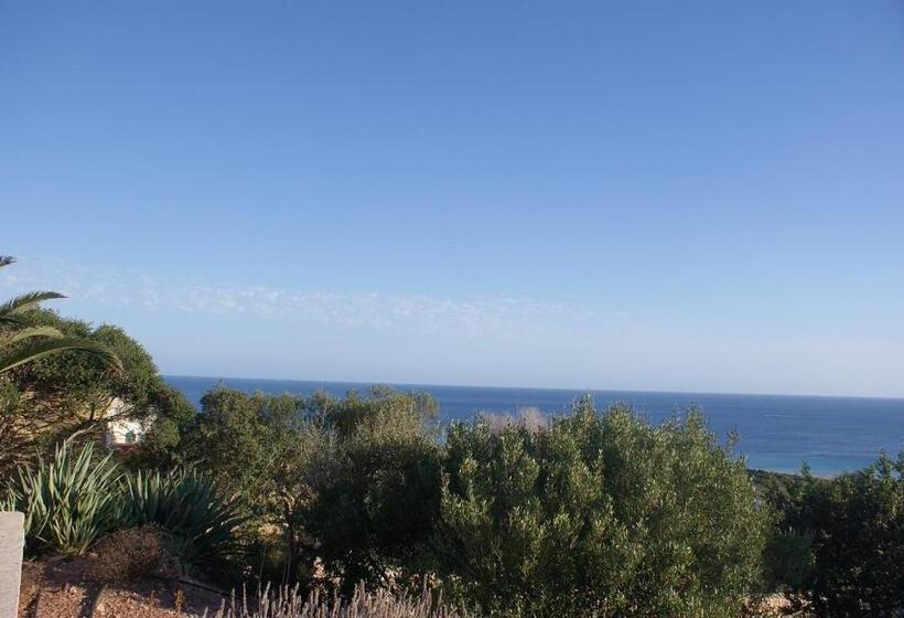 پانسیون Villa C´an Oliva