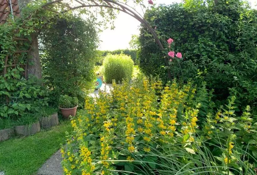 B&b De Vlasboerderij