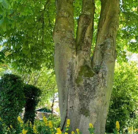 B&b De Vlasboerderij