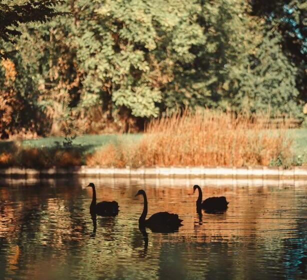 B&b Maison Mairie Hasselt