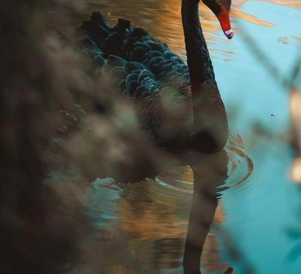 B&b Maison Mairie Hasselt