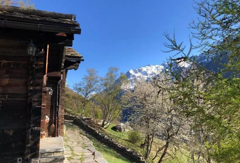 ベッドアンドブレックファースト Atelier Berg Zum Bildji