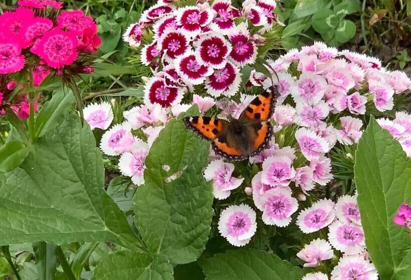 住宿加早餐 Atelier Berg Zum Bildji