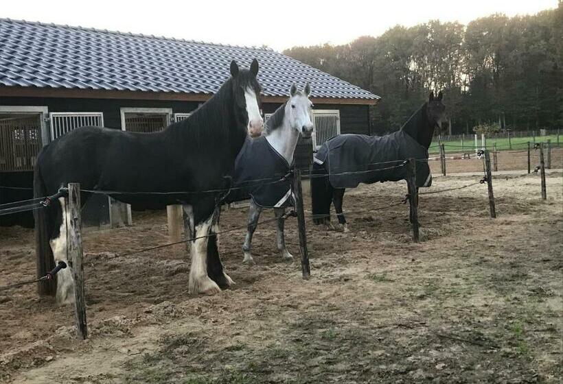 Bed and Breakfast T Heidepaleis